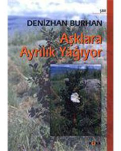 Aşklara Ayrılık Yağıyor