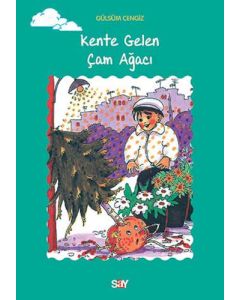 Kente Gelen Çam Ağacı