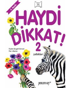 Haydi Dikkat 2