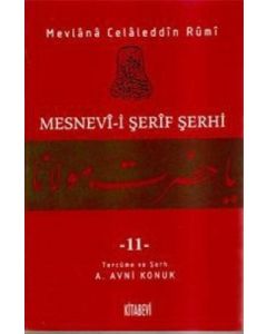 Mesnevi-i Şerif Şerhi 11