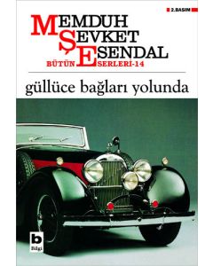 Güllüce Bağları Yolunda
