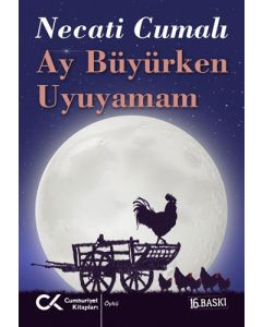 Ay Büyürken Uyuyamam