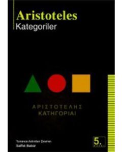 Kategoriler