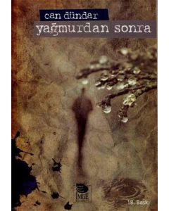 Yağmurdan Sonra