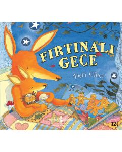 Fırtınalı Gece
