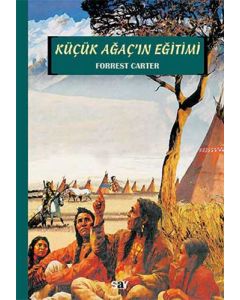 Küçük Ağaç’ın Eğitimi