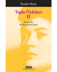 Toplu Öyküleri 2