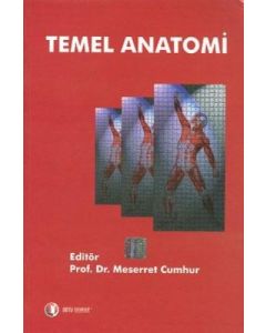 Temel Anatomi