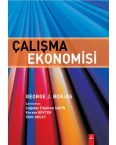 Çalışma Ekonomisi