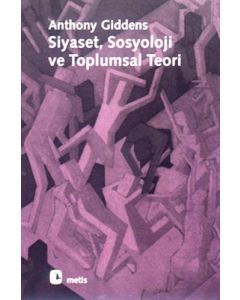 Siyaset, Sosyoloji ve Toplumsal Teori
