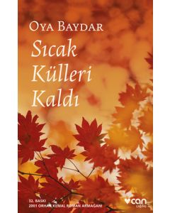 Sıcak Külleri Kaldı