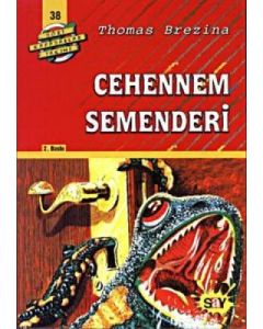 Dört Kafadarlar Takımı 38 - Cehennem Semenderi