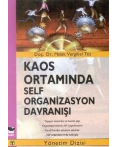 Kaos Ortamında Self Organizasyon Davranışı