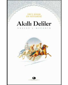 Akıllı Deliler Kitabı