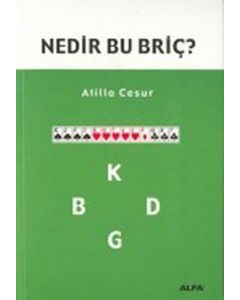Nedir Bu Briç?