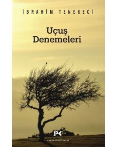 Uçuş Denemeleri