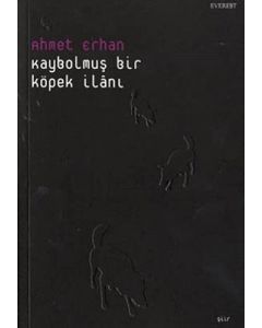 Kaybolmuş Bir Köpek İlanı