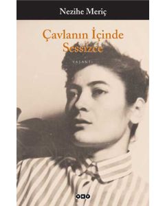 Çavlanın İçinde Sessizce