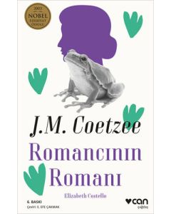 Romancının Romanı