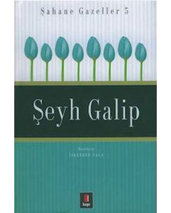 Şeyh Galip - Şahane Gazeller 5