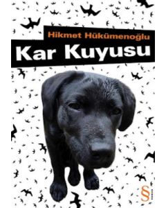 Kar Kuyusu