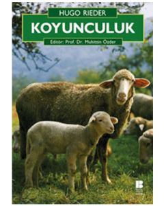 Koyunculuk