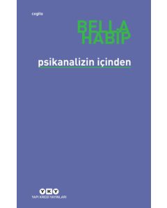 Psikanalizin İçinden