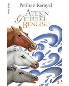Ateşin Getirdiği Bengisu