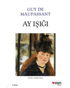 Ay Işığı