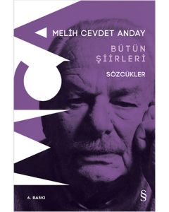 Bütün Şiirleri