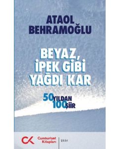Beyaz İpek Gibi Yağdı Kar