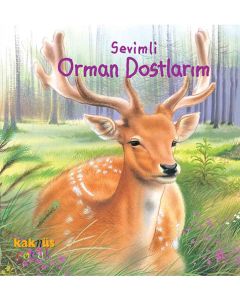 Sevimli Orman Dostlarım