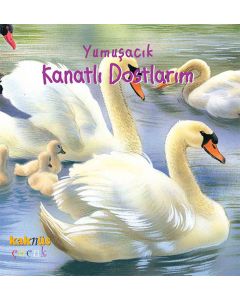 Yumuşacık Kanatlı Dostlarım