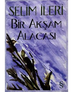 Bir Akşam Alacası