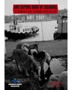 İstanbul’un Sokak Köpekleri 