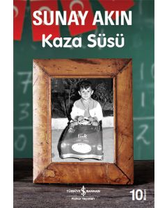 Kaza Süsü