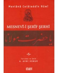Mesnevi-i Şerif Şerhi Cilt: 5