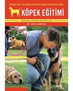 Köpek Eğitimi