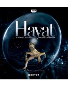 Hayat (Ciltli)