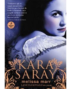 Kara Saray