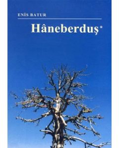Haneberduş