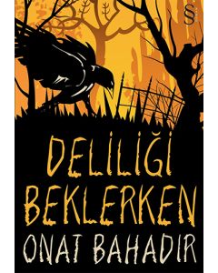 Deliliği Beklerken