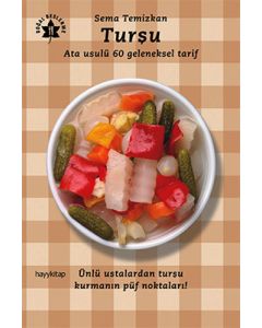 Turşu