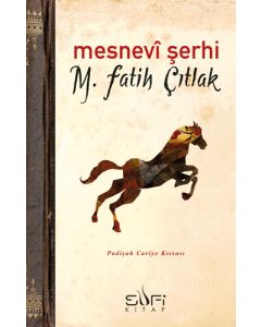 Mesnevi Şerhi