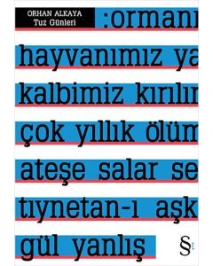 Tuz Günleri