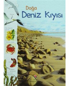 Doğa: Deniz Kıyısı