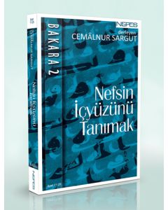 Nefsin İçyüzünü Tanımak