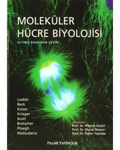 Moleküler Hücre Biyolojisi (Ciltli)
