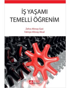 İş Yaşamı Temelli Öğrenim