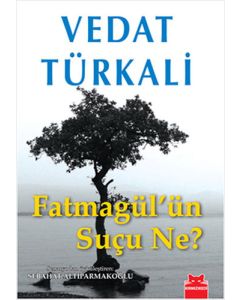 Fatmagül’ün Suçu Ne?